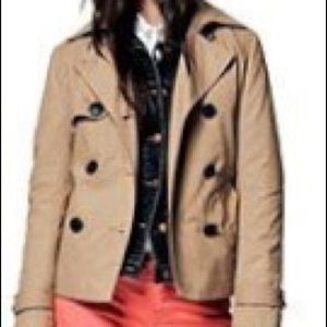 Gap Brown Jacket with interchangeable collar