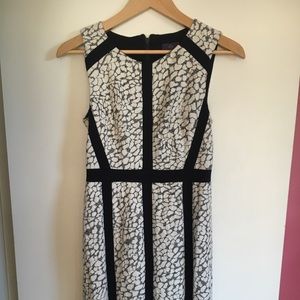 NYDJ dress. NWOT
