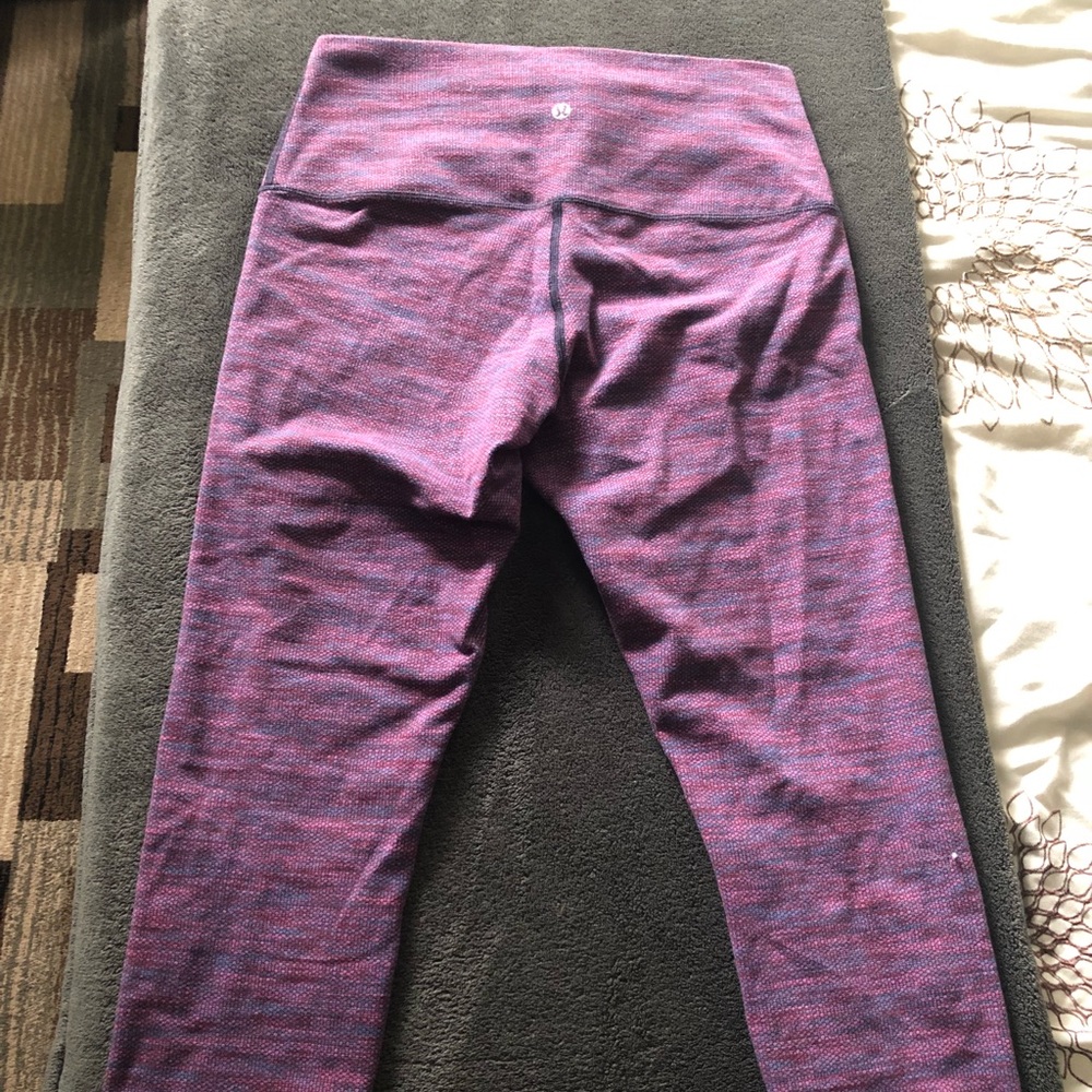 EUC Wunder Under Crops