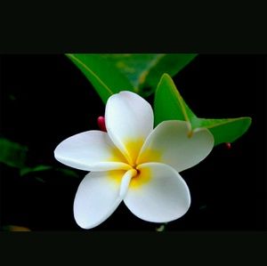 Meet your Posher, Editha