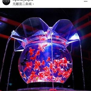 Meet your Posher, Tomoko