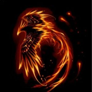 Meet your Posher, Francisco