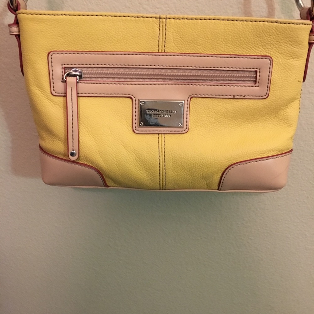 Gold/Nude Tignanello Purse