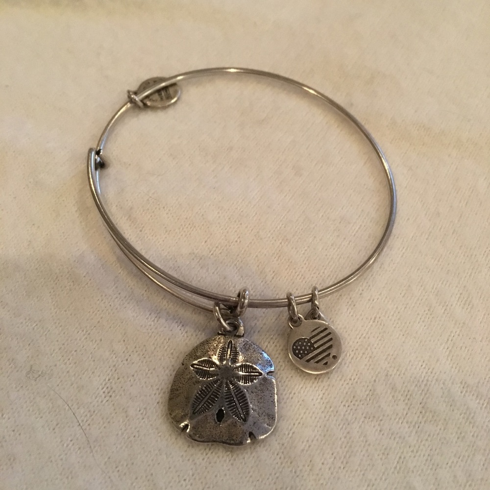 Alex and Ani bracelet silver