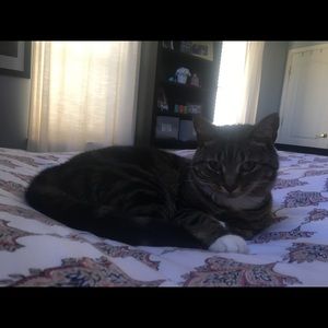 Meet your Posher, Carmela