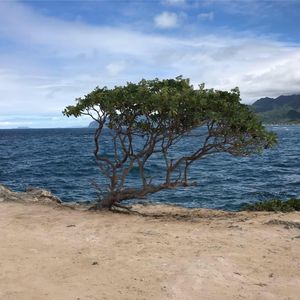 Meet your Posher, Cathy