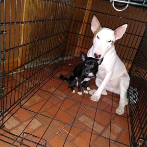 Meet your Posher, Celina