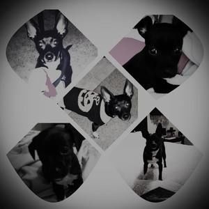 Meet your Posher, Kimberly