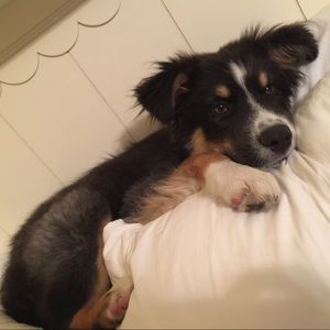 Meet your Posher, Kaitlyn