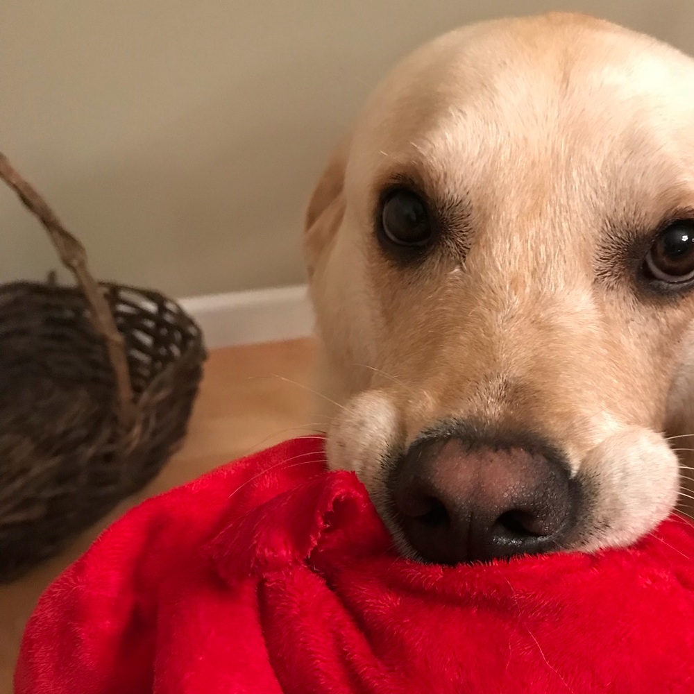 Meet your Posher, Heathet