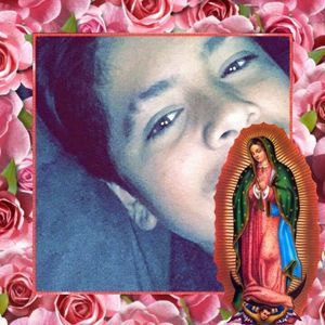 Meet your Posher, Nate