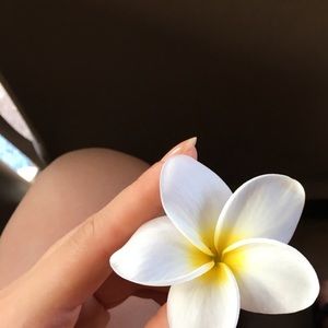 Meet your Posher, Maralmaa