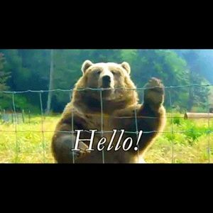 Meet your Posher, Harold