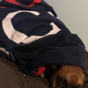 Meet your Posher, Ryann