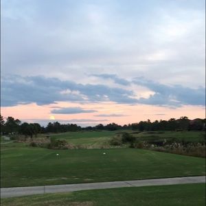 Meet your Posher, Paul