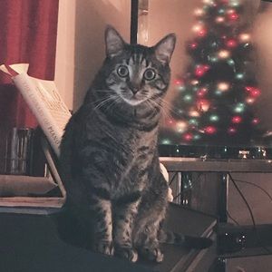 Meet your Posher, Kenneth