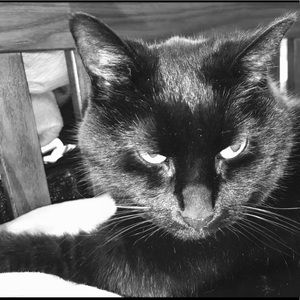 Meet your Posher, Georgia