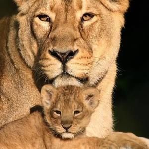 Meet your Posher, Veronica