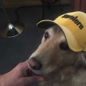 Meet your Posher, Elaine