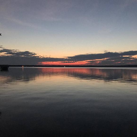 Meet your Posher, Tammi - Picture 1 of 1