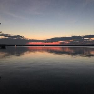 Meet your Posher, Tammi