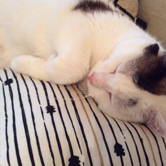 Lily Fuller-Lowe - Picture 3 of 8