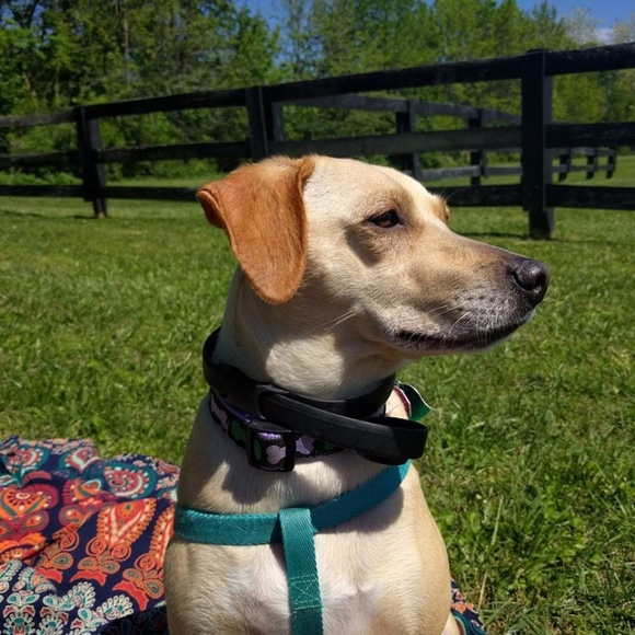 Lily Fuller-Lowe - Picture 6 of 8