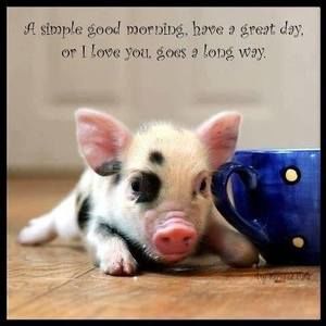 Meet your Posher, Robin