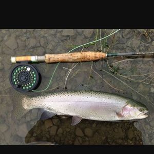 Meet your Posher, Luke