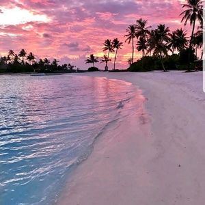 Meet your Posher, Amalia