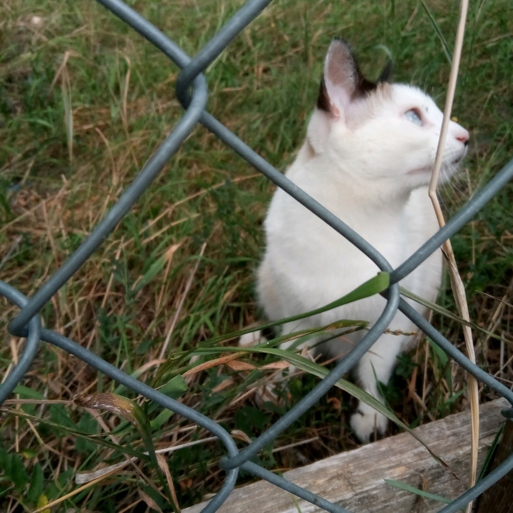 Meet your Posher, Gigi