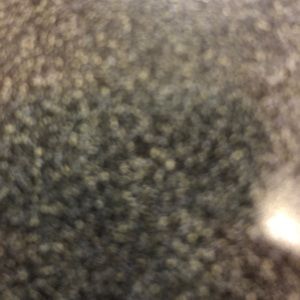 Meet your Posher, Bryanna