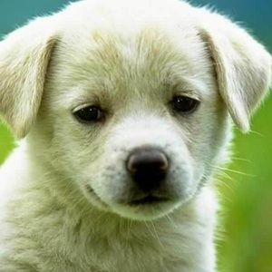 Meet your Posher, Mikayla