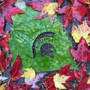 Meet your Posher, Elisa