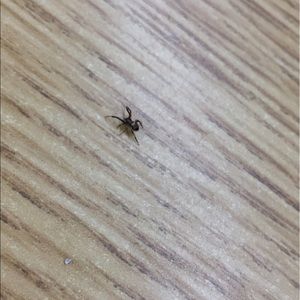 Meet your Posher, Zach