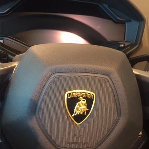 Meet your Posher, Nico