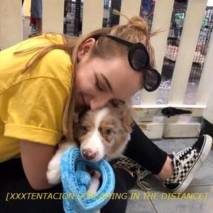 Meet your Posher, Rae ann