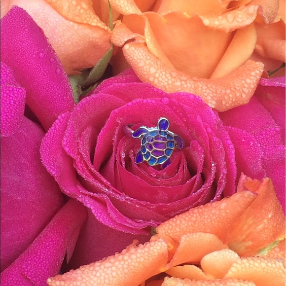 Meet your Posher, Melissa - Picture 1 of 1