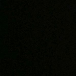 Meet your Posher, Lareina