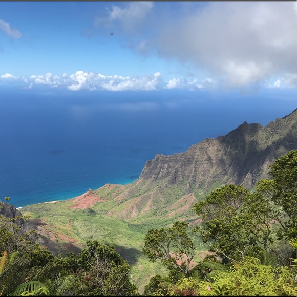 • Meet Your Posher • - Picture 3 of 8