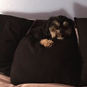 Meet your Posher, Lena