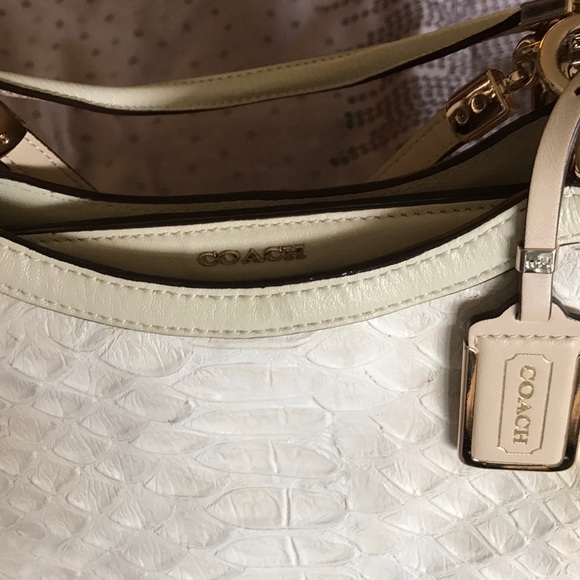Coach genuine snake skin purse beige color - Picture 2 of 6