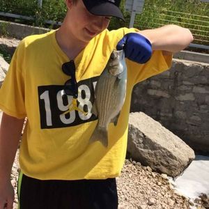 Meet your Posher, Cole