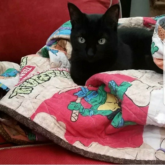 Meet your Posher! - Picture 3 of 5