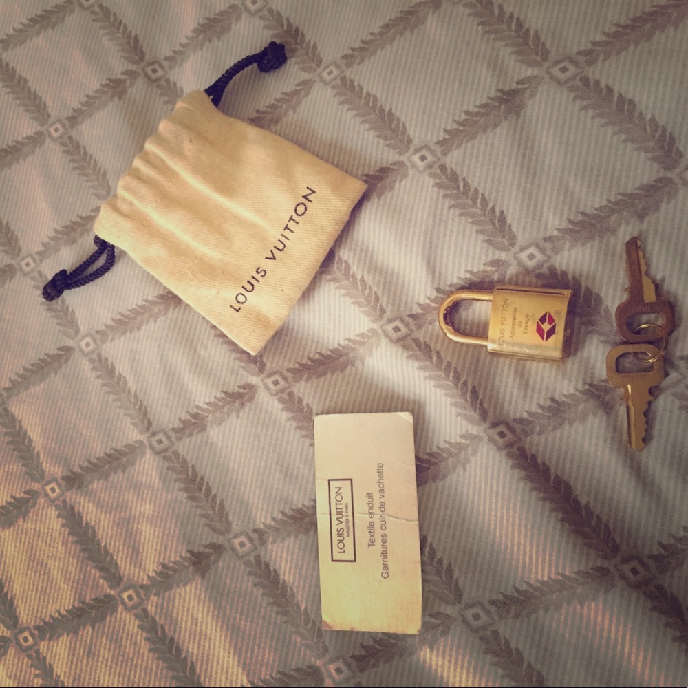 Louis Vuitton small dust bag