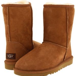 Chestnut Uggs sz 10