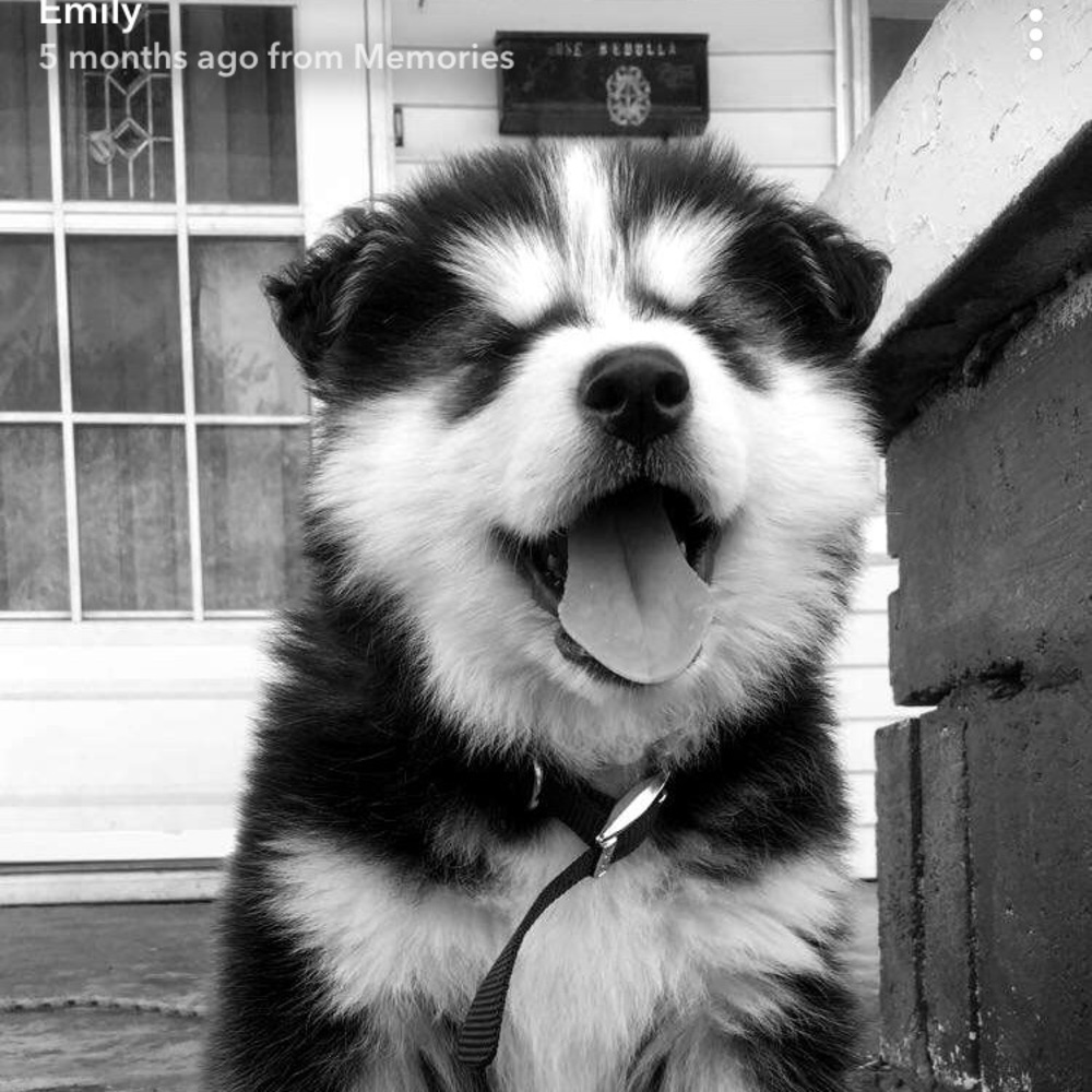 Meet your Posher, Jazmin