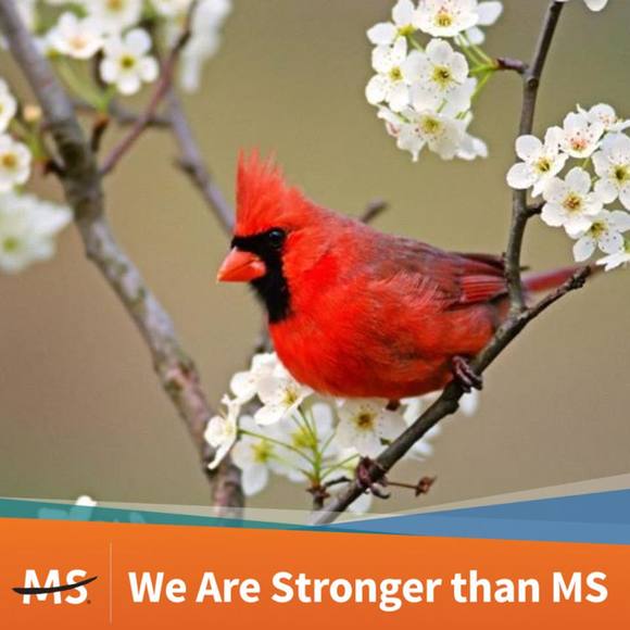 Meet your Posher, Dawn - Picture 1 of 1