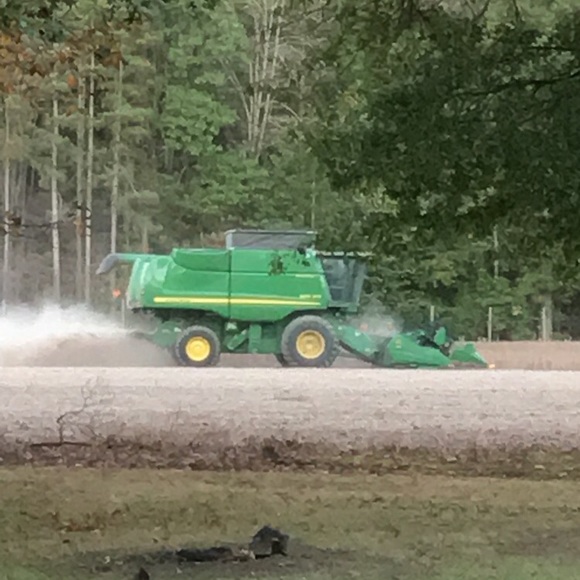 Meet your Posher, Mike - Picture 1 of 1