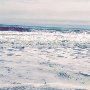 Meet your Posher, Lindsay